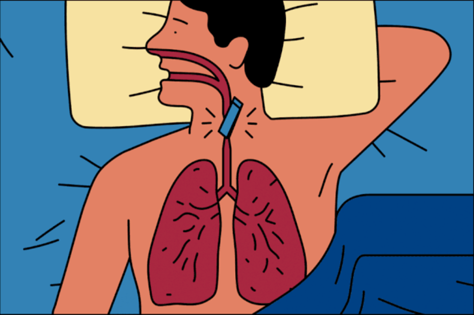 文獻與應用 | “我們”服務于睡眠呼吸暫停綜合征研究——間歇性高低氧培養箱
